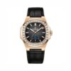 CARNIVAL 8110G-VH-DD-D